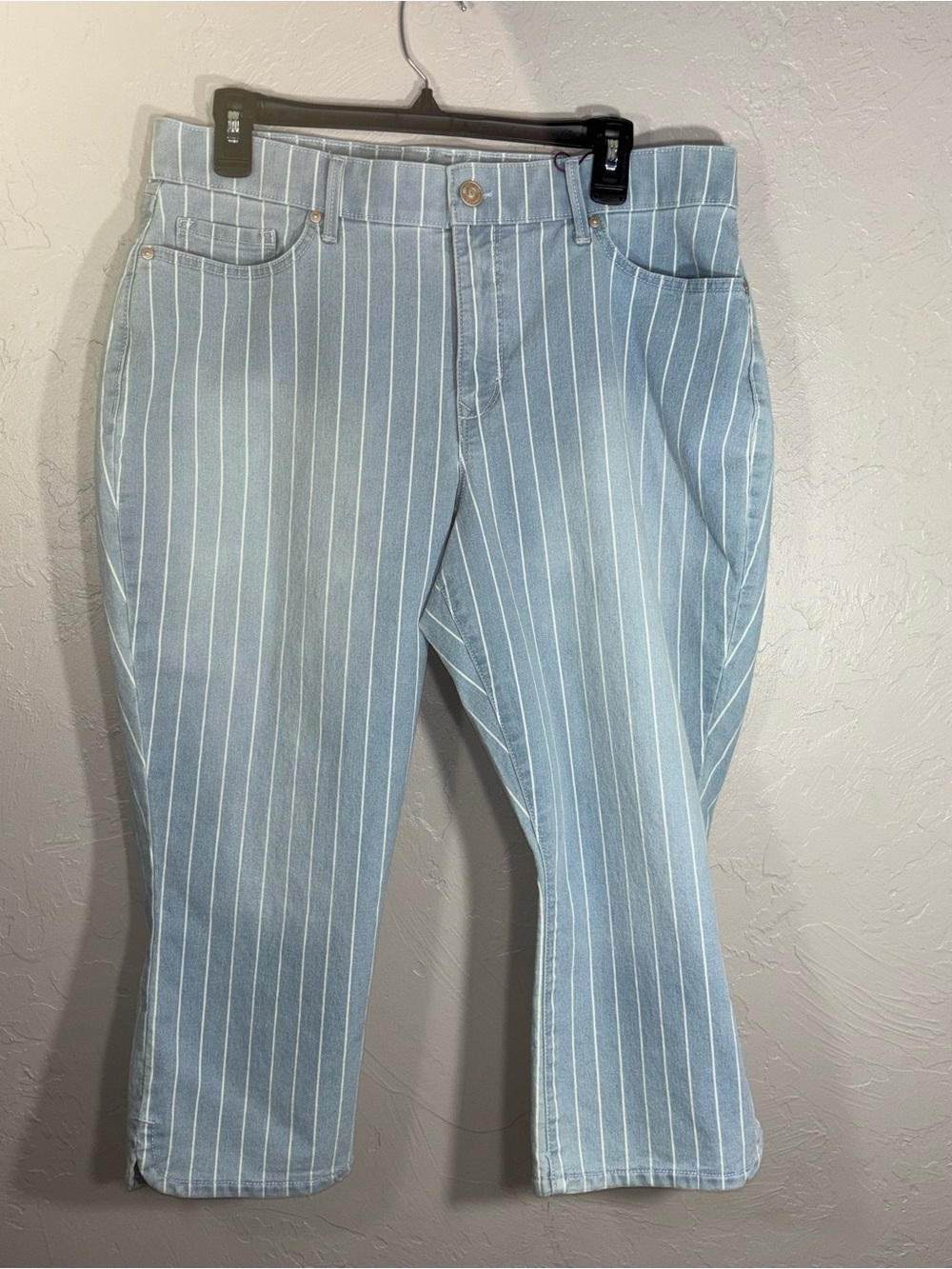 Gloria Vanderbilt Light Blue and White Pinstripe Crop Pants